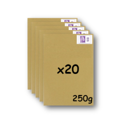 Pack 20 Enveloppes timbrées - Format postal C4 - Lettre Internationale- 250g