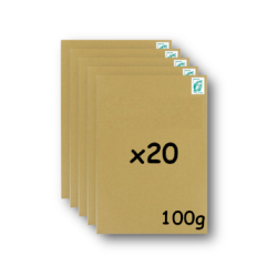 Pack 20 Enveloppes timbrées - Format postal C4 - Lettre verte - 100g