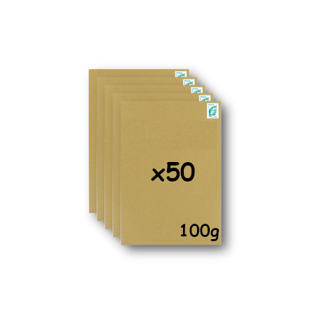 Pack 100 Enveloppes timbrées - Format postal DL - Ecopli - 100g