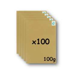 Pack 100 Enveloppes timbrées - Format postal C4 - Lettre verte - 100g