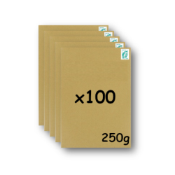 Pack 100 Enveloppes timbrées - Format postal C4 - Lettre verte - 250g